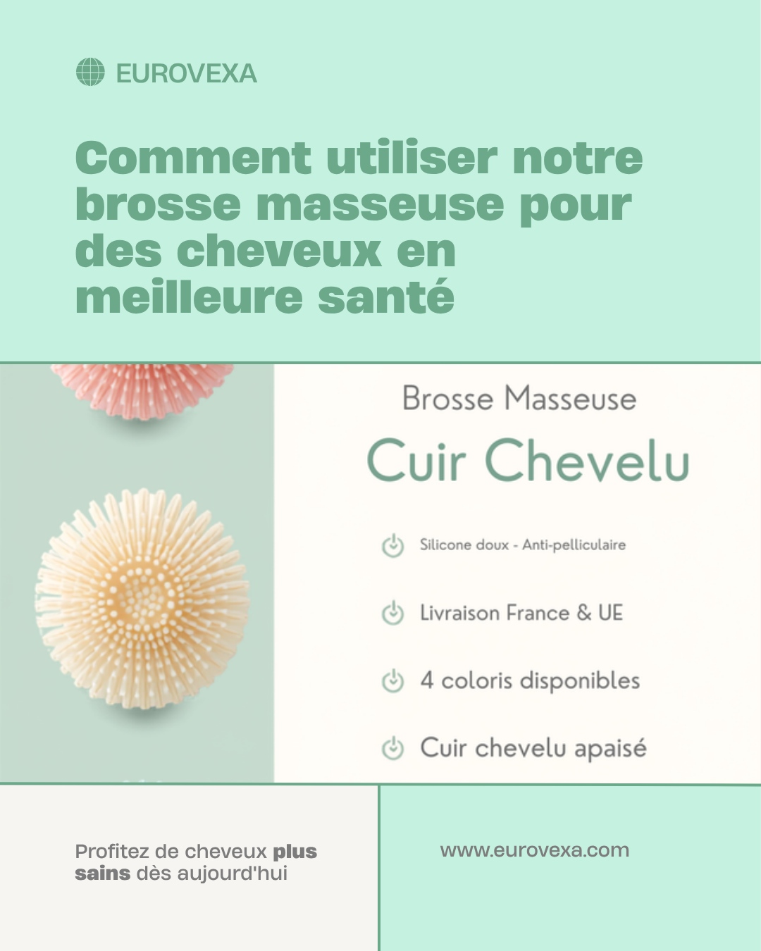 Comment utiliser - Brosse Masseuse Cuir Chevelu EUROVEXA