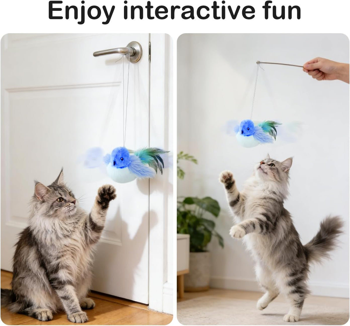 Jouet oiseau interactif pour chat - détail plumes
